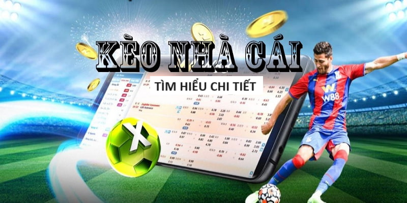 tha ku casino dau truong game bai doi thuong tha ku casino dau truong game bai doi thuong